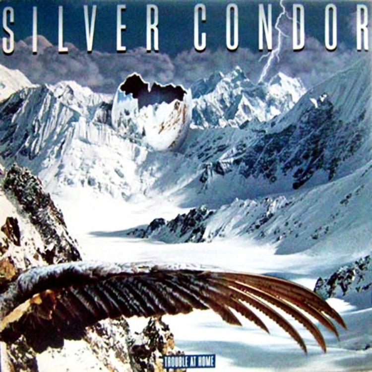 Silver Condor's avatar image