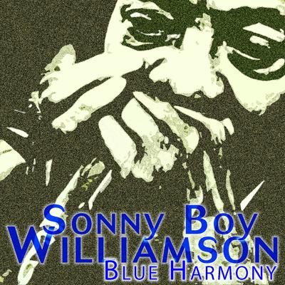 Blue Harmony's cover