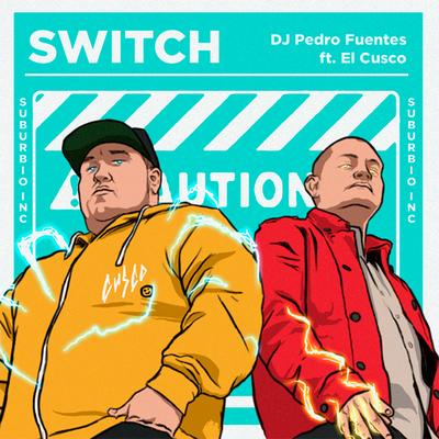 Switch's cover