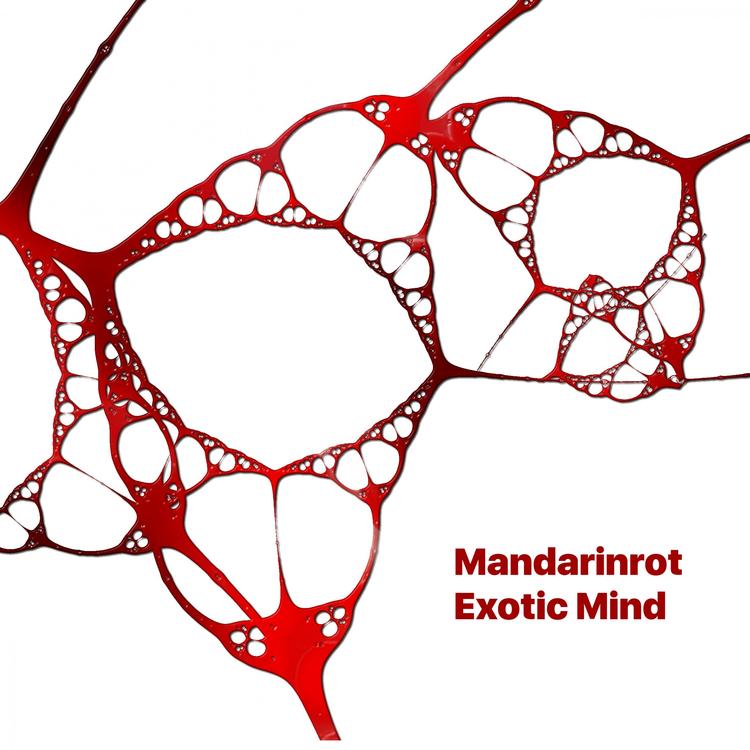 Mandarinrot's avatar image