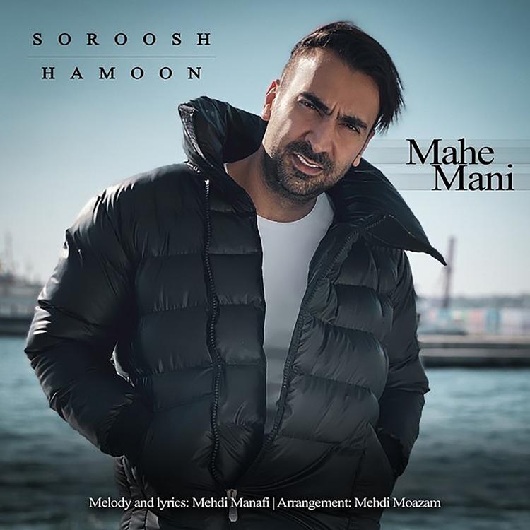 Soroosh Hamoon's avatar image