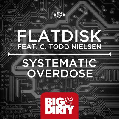 Systematic Overdose (Original Mix) By Flatdisk, C. Todd Nielsen's cover