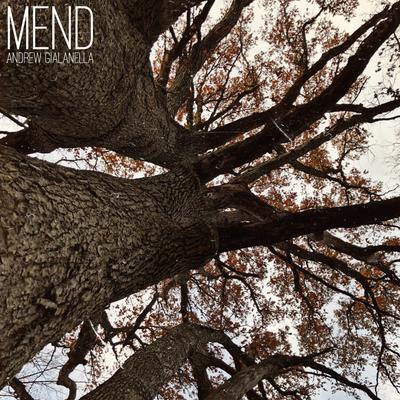 Mend By Andrew Gialanella's cover