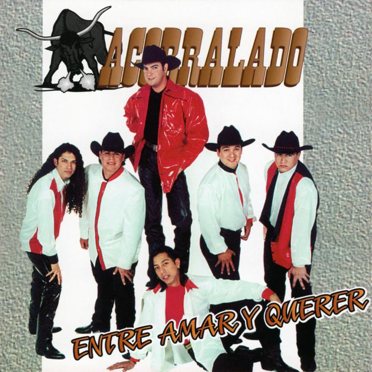 Acorralado's avatar image