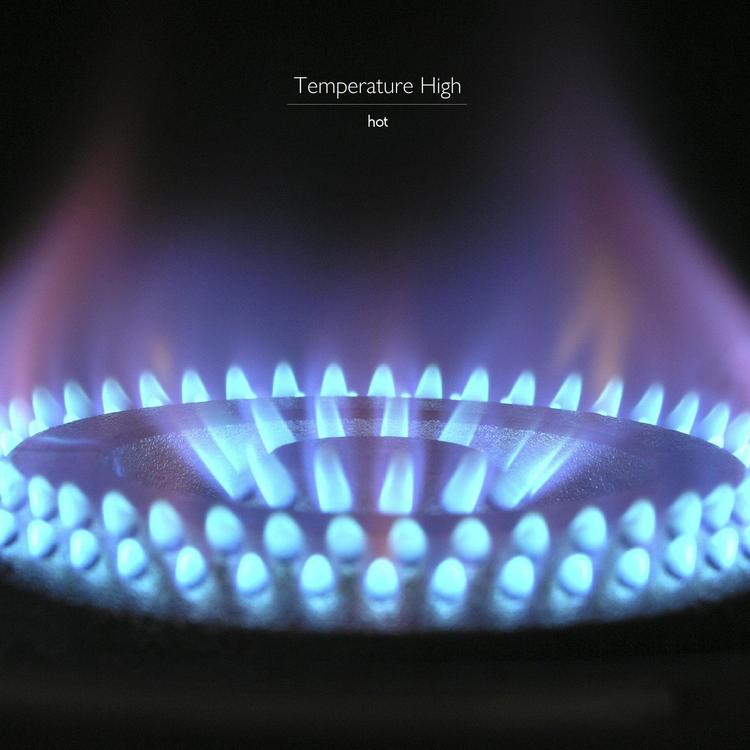 Temperature High's avatar image