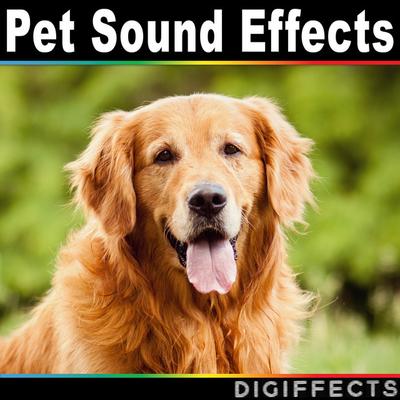 Digiffects Sound Effects Library's cover