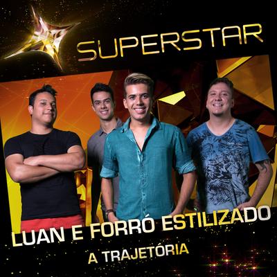 Jeito Carinhoso (Superstar) By Luan Estilizado's cover