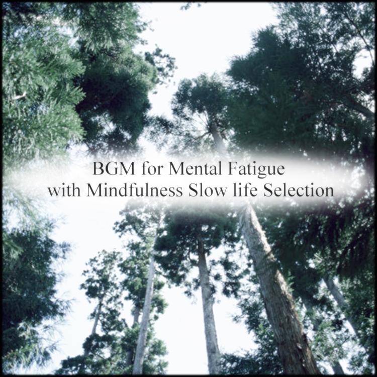 Mindfulness Slow life Selection's avatar image