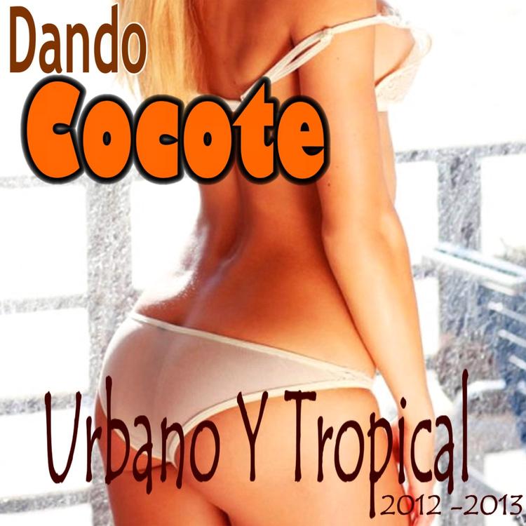 Dando Cocote's avatar image