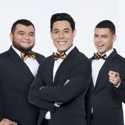 Los Tres Tristes Tigres's cover