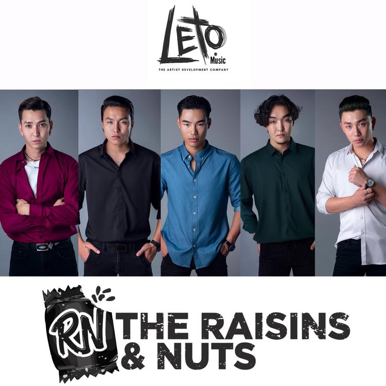 The Raisins & Nuts's avatar image
