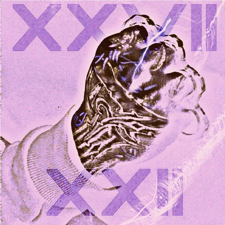 XXVII's avatar image