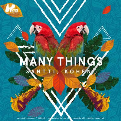 Many Things By Santti, Kohen's cover