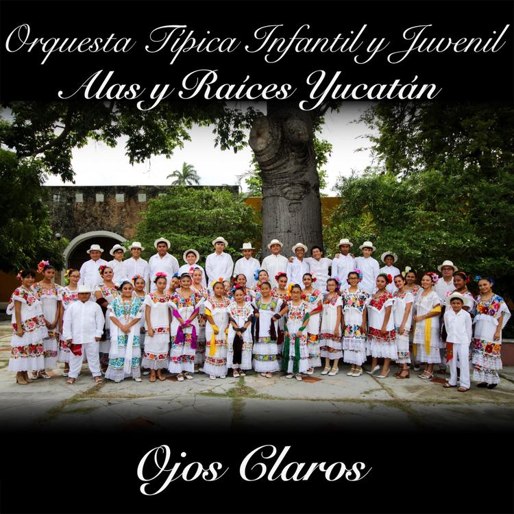 Orquesta Tipica Infantil y Juvenil Alas y Raices Yucatan's avatar image