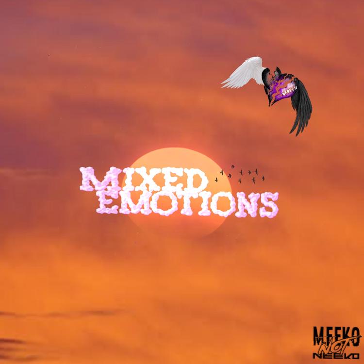 Meeko Not Neeko's avatar image