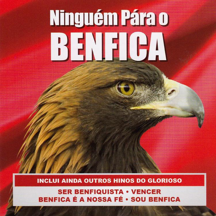 Grupo Ninguém Pára O Benfica's avatar image