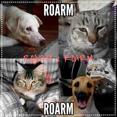 Aku Kucing By Roarm's cover