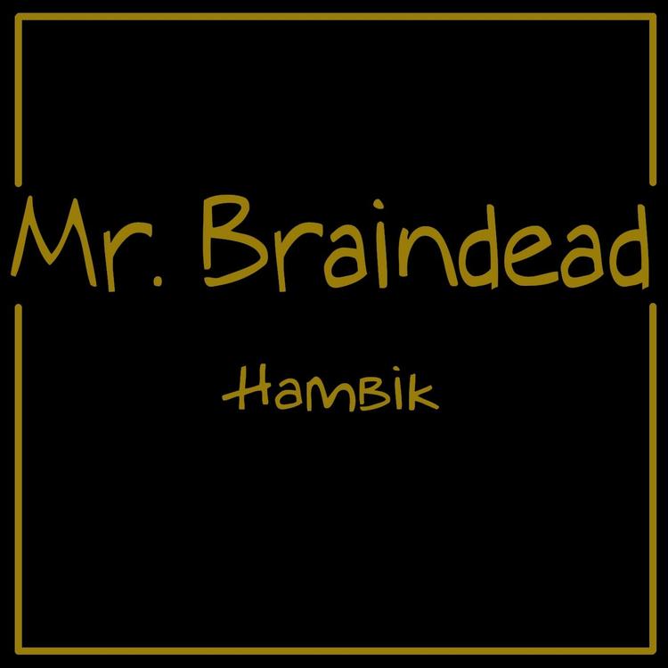 Hambik's avatar image
