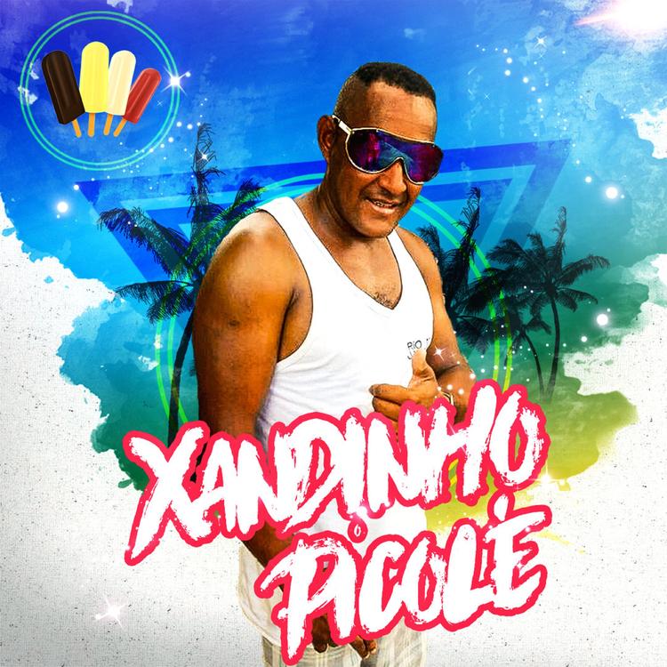 Xandinho Picole's avatar image