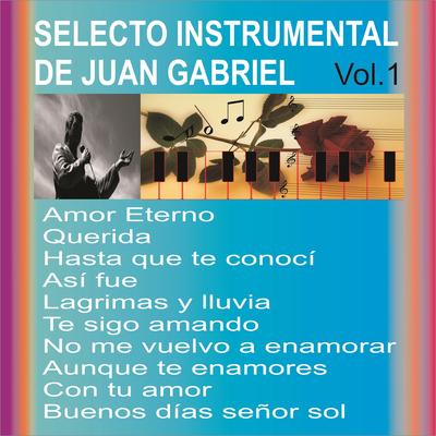 Selecto Instrumental de Juan Gabriel, Vol. 1's cover