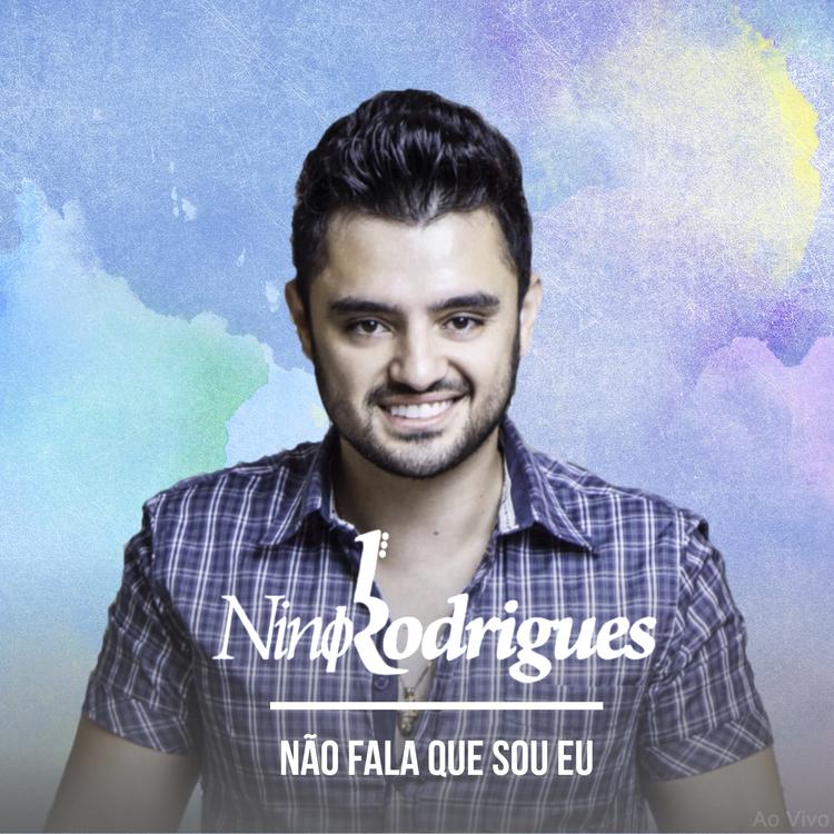 Nino Rodrigues's avatar image