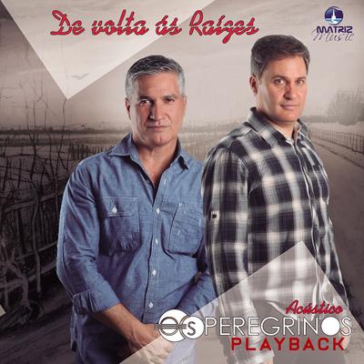 De Volta as Raízes (Acústico) (Playback)'s cover