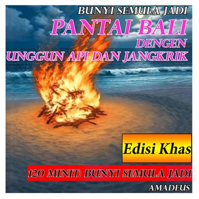 Pantai Bali dengan Unggun Api dan Jangkrik: bunyi semula jadi: Edisi Khas's cover
