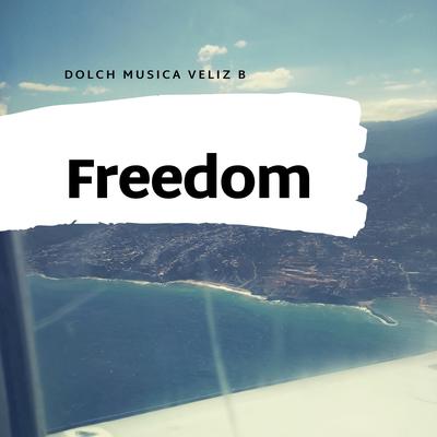 DOLCH MUSICA VELIZ B's cover