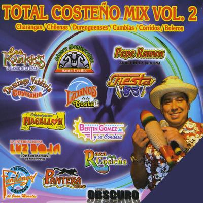 Chilenas Mix: Azoyu / Ometepec / Pinotepa / La Boda Costeña / El Mono de Marciana / De Fandango Con Copally'S's cover