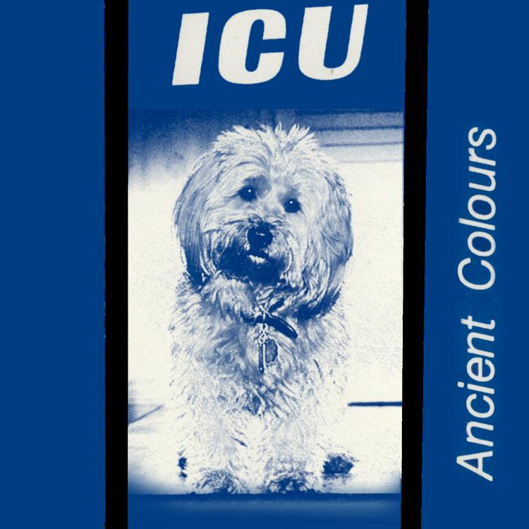 ICU's avatar image