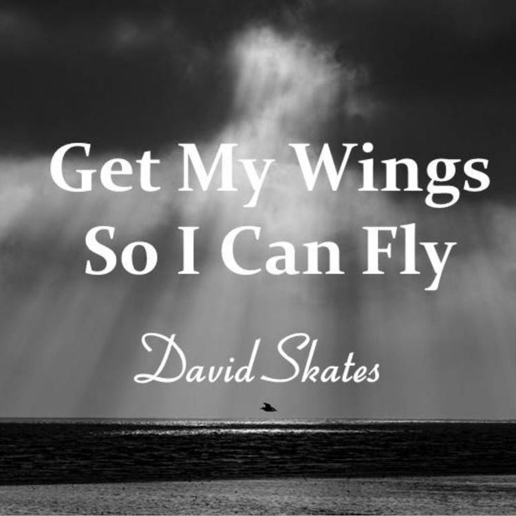 David Skates's avatar image