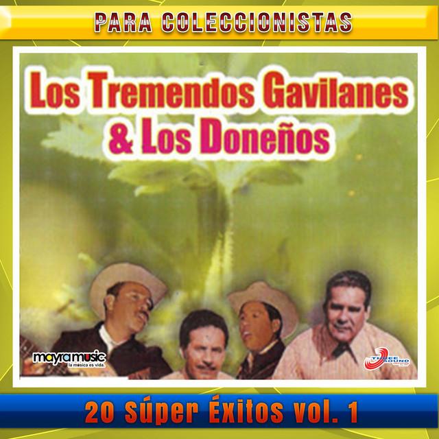 Los Tremendos Gavilanes's avatar image