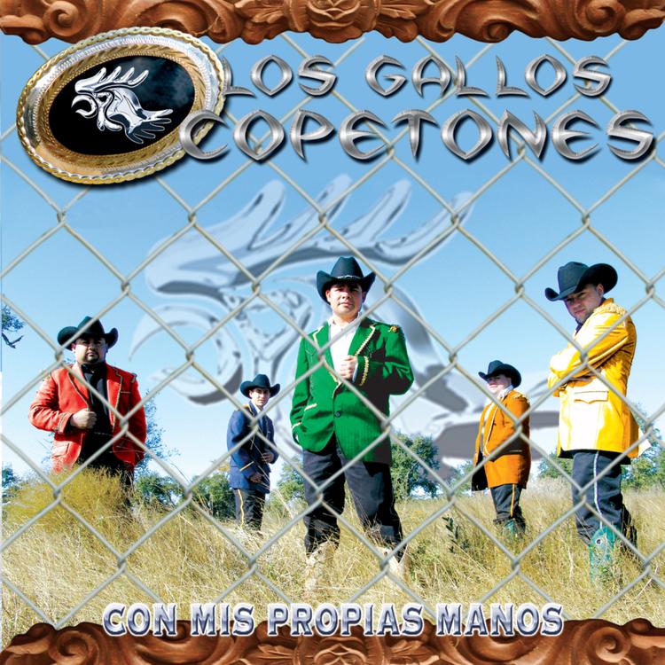 Los Gallos Copetones's avatar image