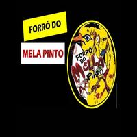 FORRÓ DO MELLA PINTO's avatar cover