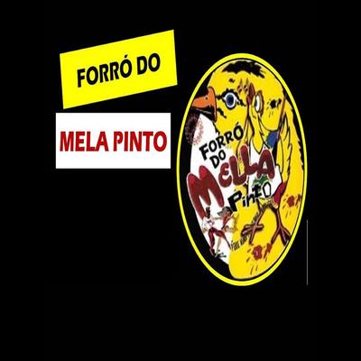 FORRÓ DO MELLA PINTO's cover