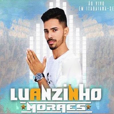 Anti Amor (Ao Vivo) By Luanzinho Moraes's cover