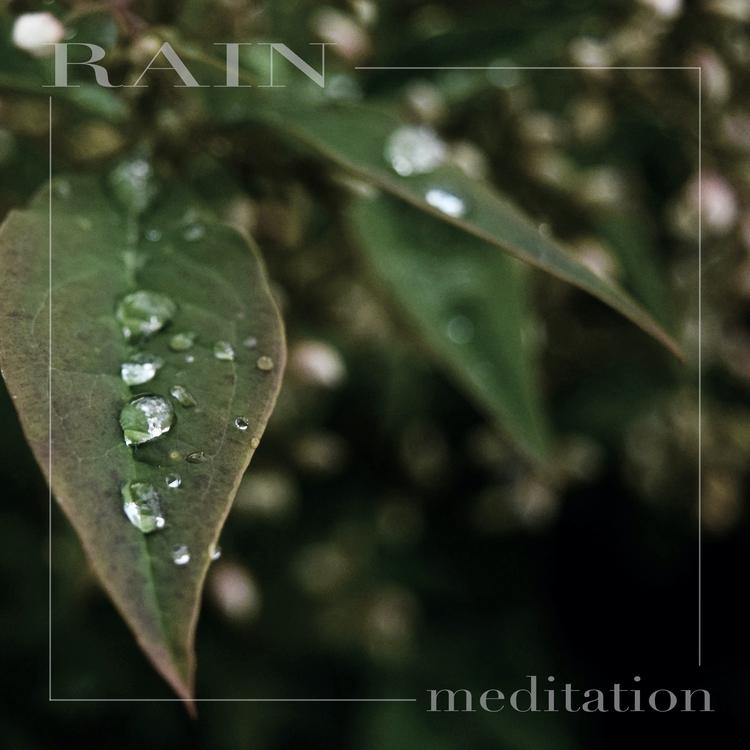 Relaxing Rain Sounds's avatar image