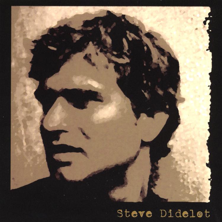 Steve Didelot's avatar image