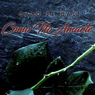 Como No Amarte's cover