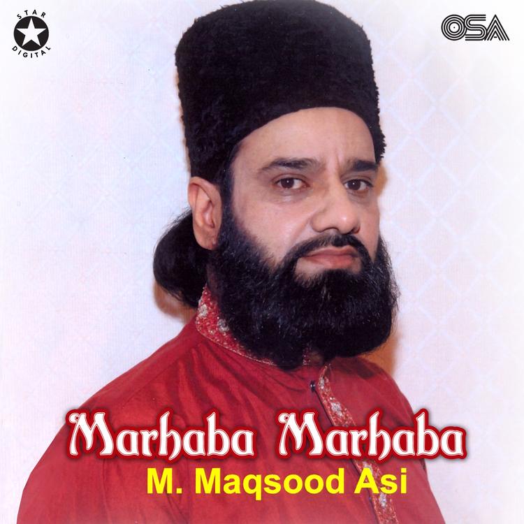 M. Maqsood Asi's avatar image