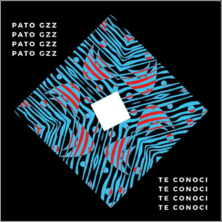 Pato Gzz's avatar image