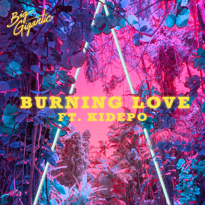 Burning Love By Big Gigantic, Kidepo's cover