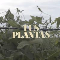Tus Plantas's avatar cover