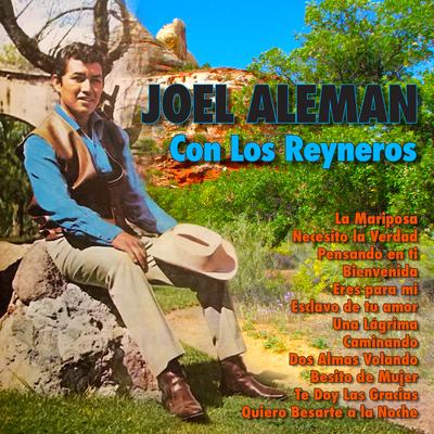 Necesito la Verdad By Joel Alemán con Los Reyneros's cover