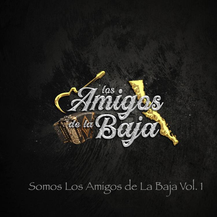 Los Amigos de La Baja's avatar image