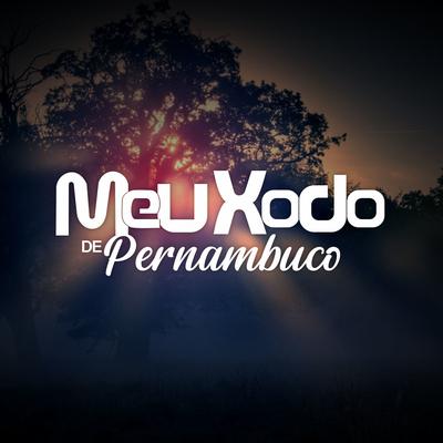 Se Você Se Vai By Banda Meu Xodó De Pernambuco's cover