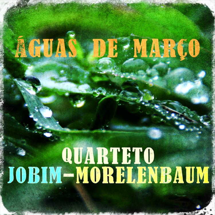 Quarteto Jobim-Morelenbaum's avatar image