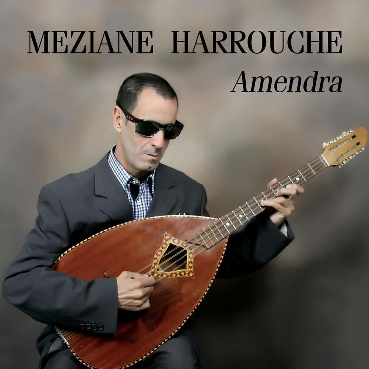 Meziane Harrouche's avatar image