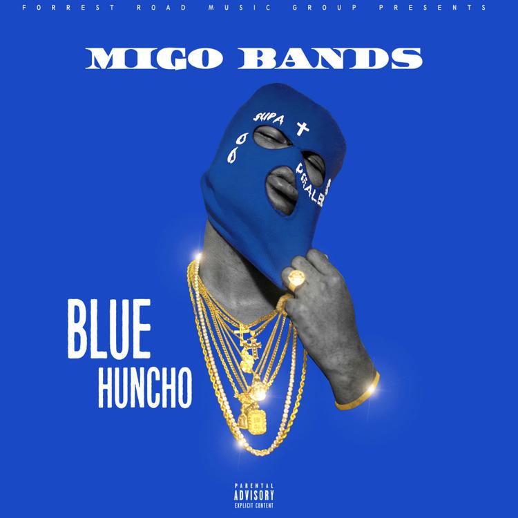 Migo Bands's avatar image