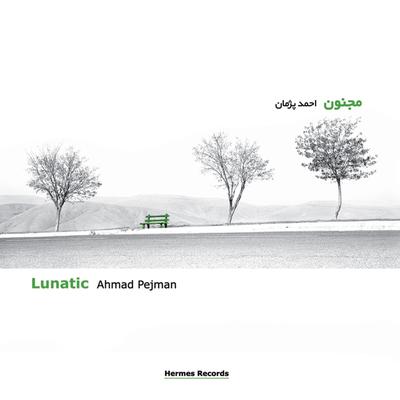 Lunatic By Ahmad Pejman's cover